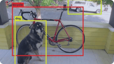 a dog and a bike recognised by ai